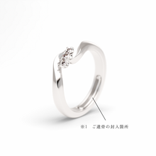 Orris-PlatinumMist オリスプラチナムミスト